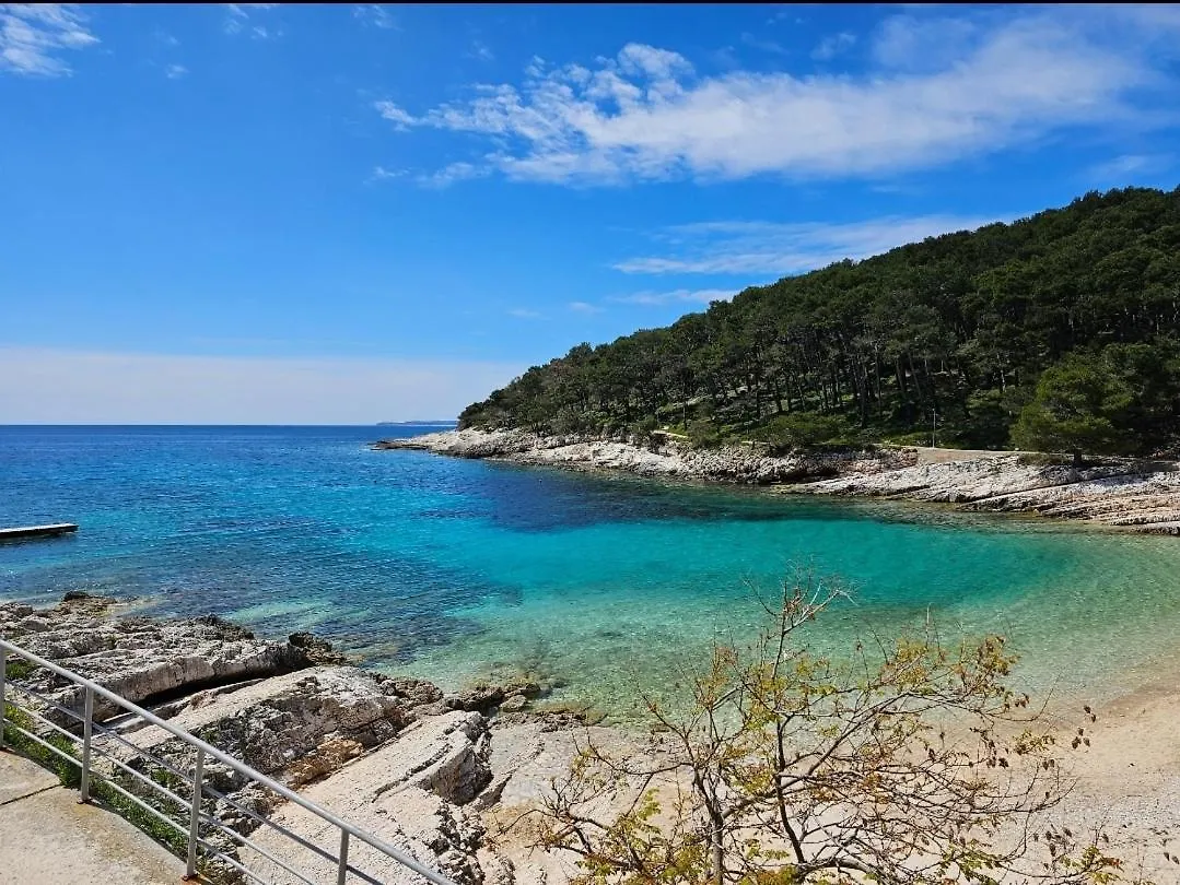Апартаменты Adriatic Dream - Garage - Sea View Мали-Лошинь Хорватия